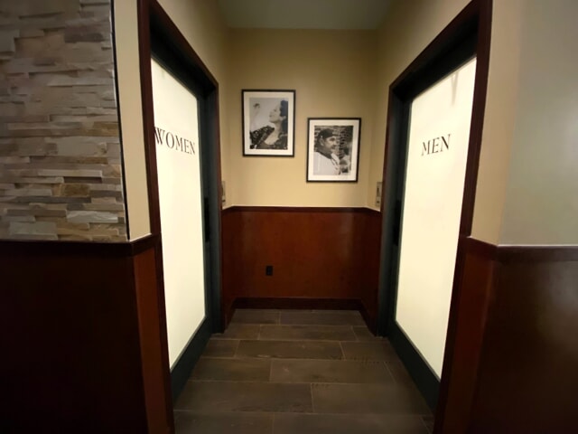 Frosted Etched Vinyl